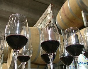 Euforia da vino: il certificato sul Brunello rende il 15% annuo