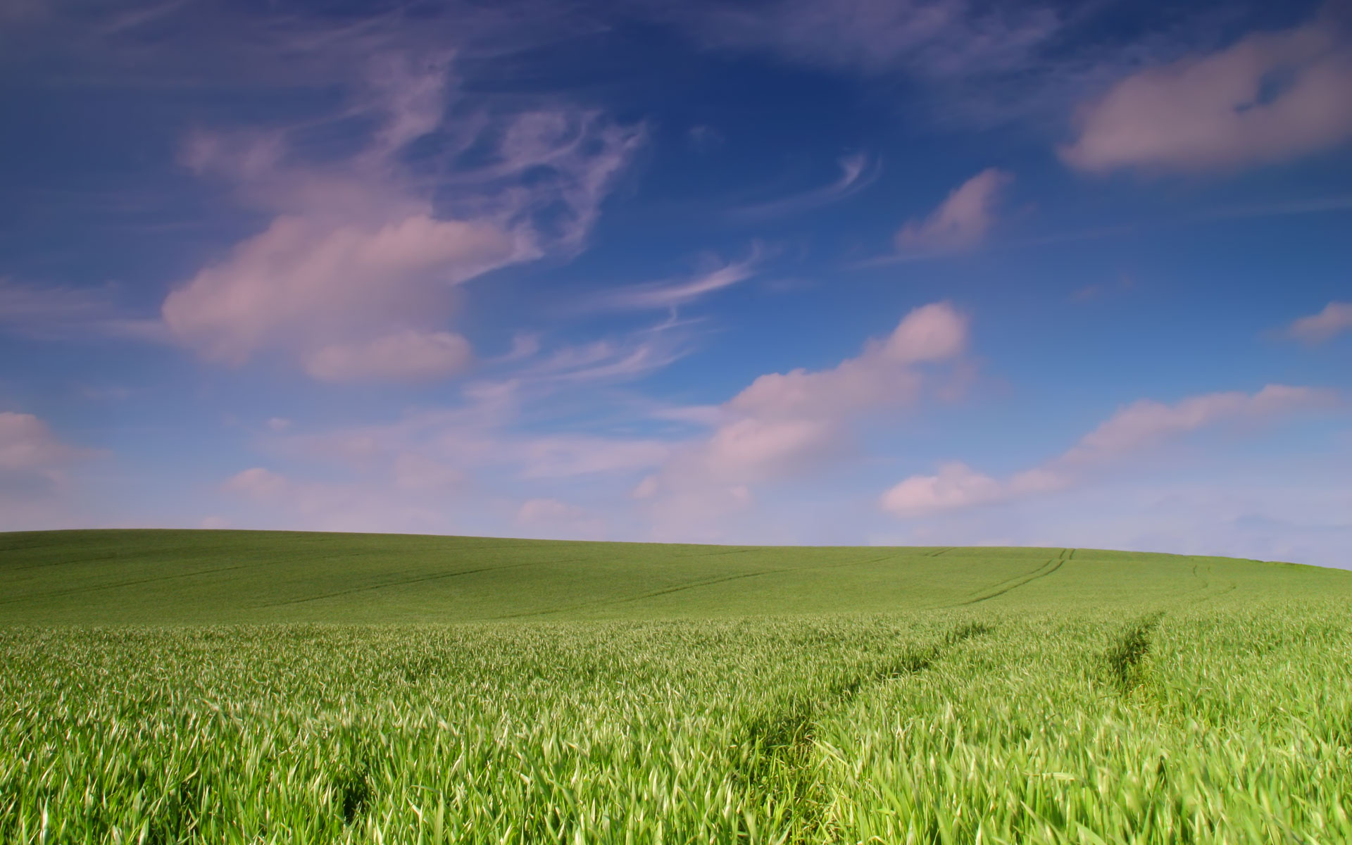 Trading cereali: nasce società europea degli agricoltori