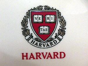 Il grande successo del fondo di Harvard: +11% nel 2009