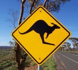 Australia: calo pesante per le vendite di Kangaroo bond