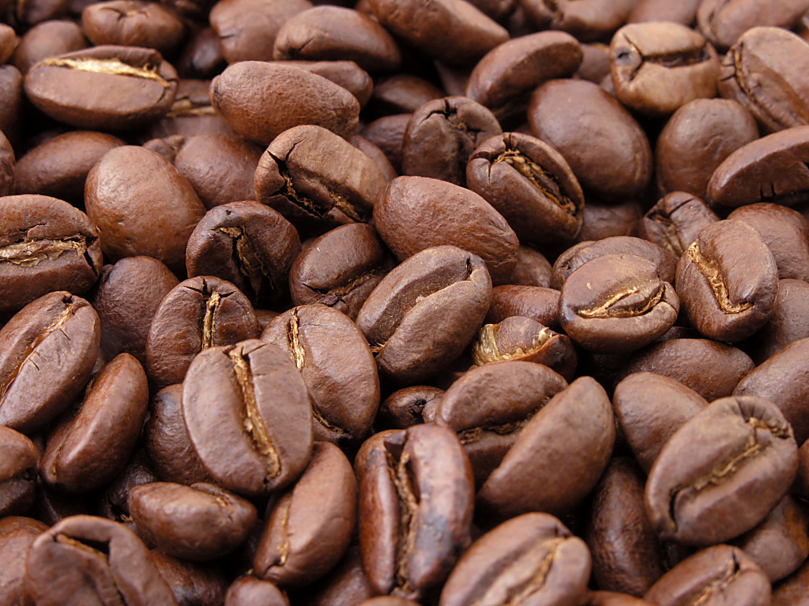 Caffè, le gelate dei raccolti minacciano i contratti futures