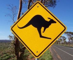 Kangaroo Bond ai minimi dopo oltre sedici mesi