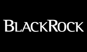 BlackRock alla ricerca del beneplacito per tredici nuovi Etf