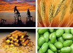 Come investire in commodity nel 2013