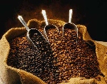 Futures: ultime quotazioni in calo per caffè, zucchero e cacao