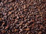 Terzo rialzo consecutivo per i futures sul cacao